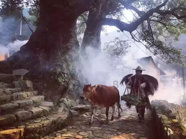 小企鹅逃生